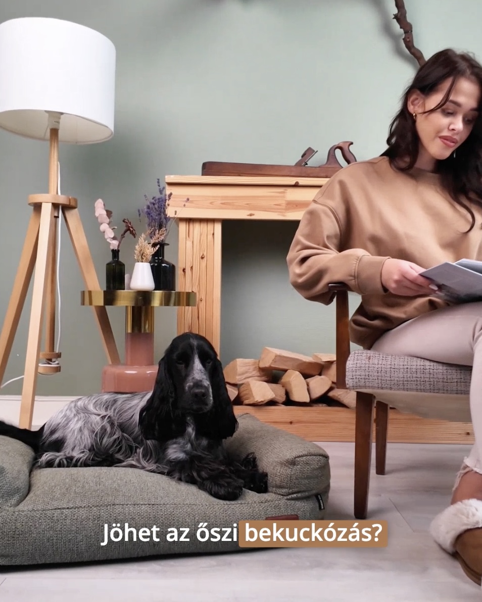 STUDIO kutyakanapé, barna